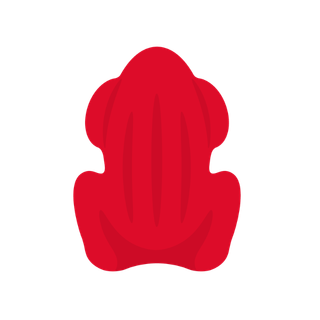 Red Frogs USA
